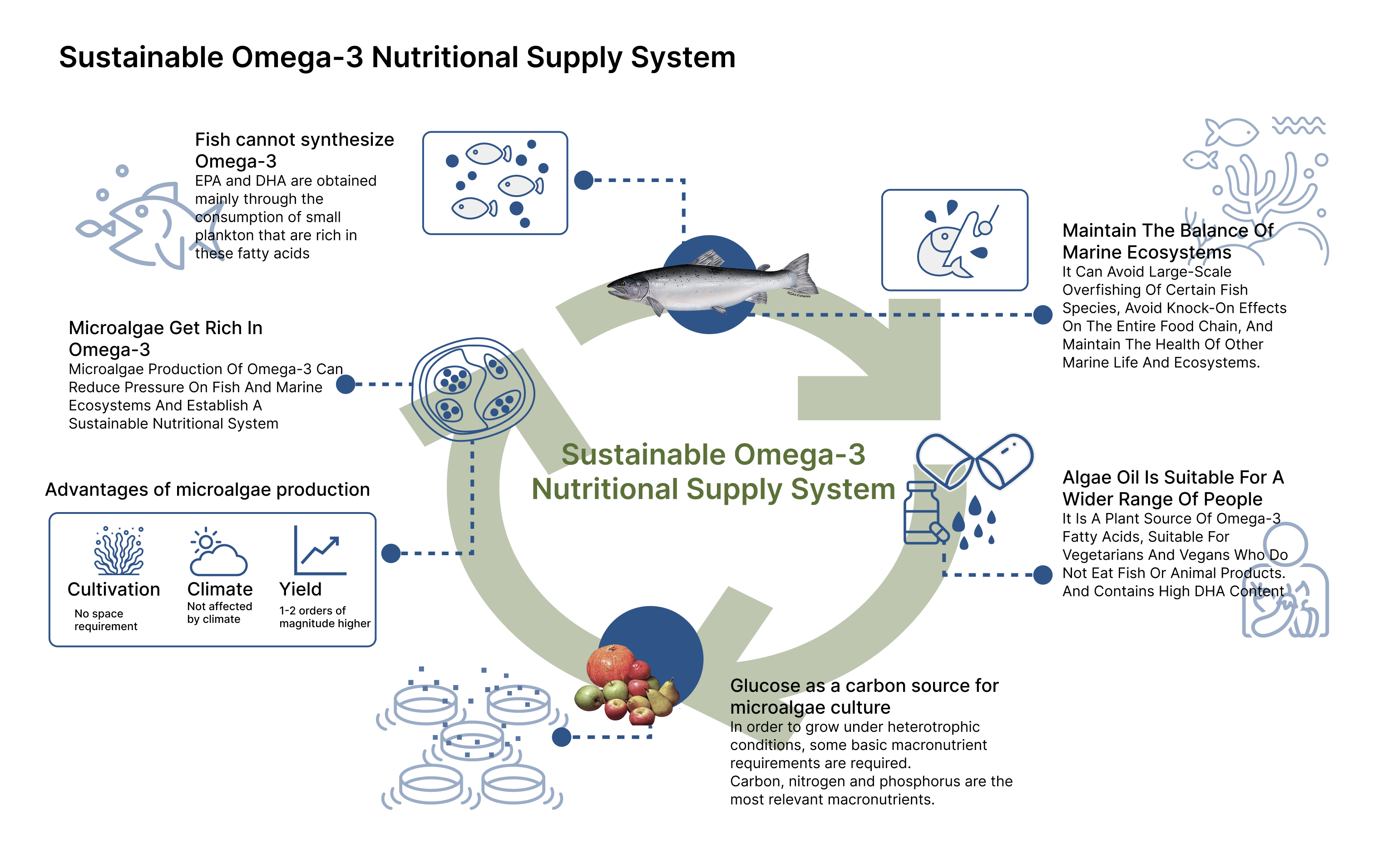 Sustainable Omega-3 nutritional supply system diagram connecting algae cultivation, fish oil pressure, alternative carbon sources, production, and user participation.